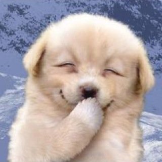 りょったさんのプロフィール画像