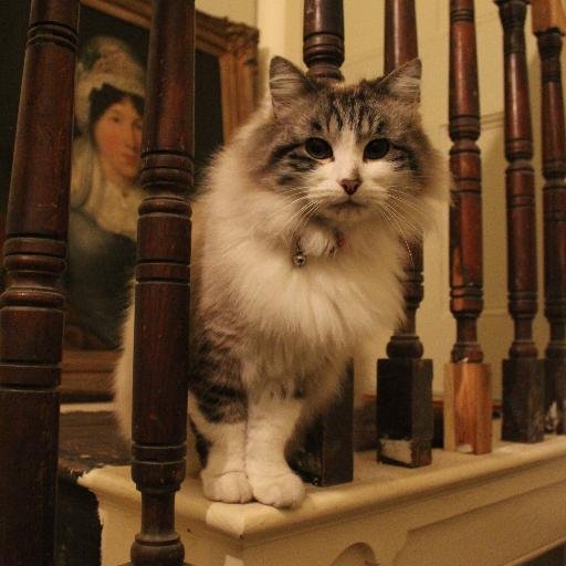 Minou - Anglo/French freelance actor, antiques lover and star of the new Antiques Roadshow title sequence. @BBC_ARoadshow