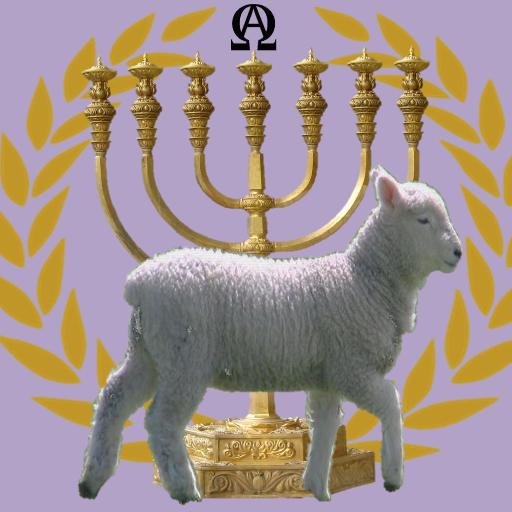 mikeagoldstein's profile picture. nonya