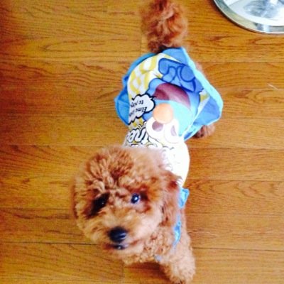 2014.3.7生まれのcollon大好き꒰ෆ❛ั ु▿❛ั ु꒱