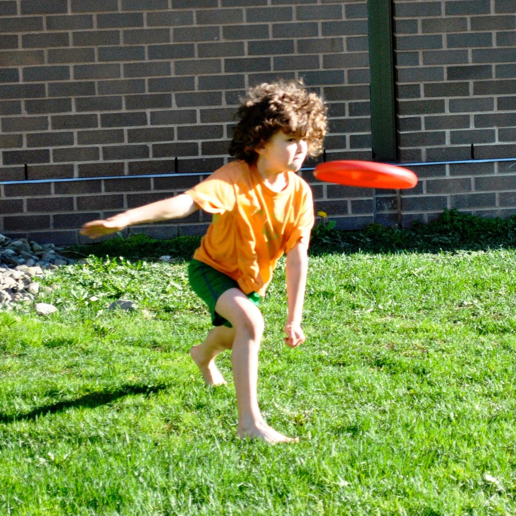 frisbeesports1's profile picture. 