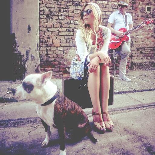 Musician / Singer / Songwriter / Funkateer