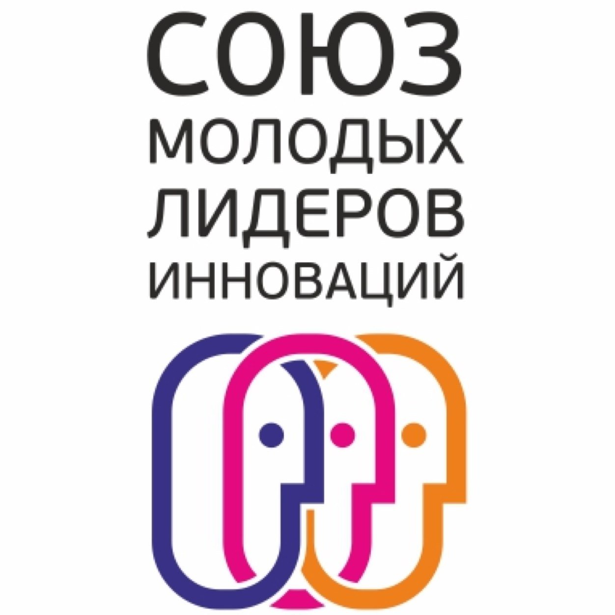 Некоммерческое партнерство 
Союз молодых лидеров инноваций