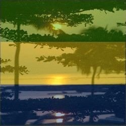 Gabon d'Abord. Présidentielle 2016