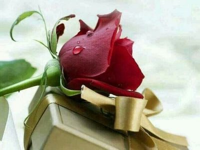 ‏صابرين وعلى الله توكلنا