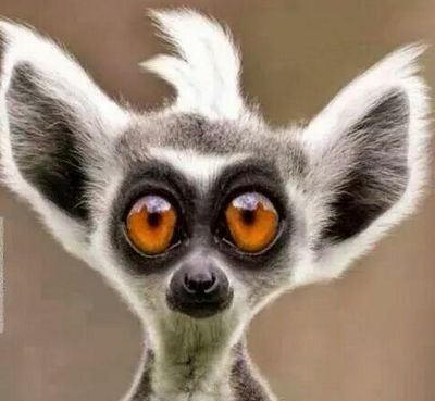 PajonRoberto's profile picture. 