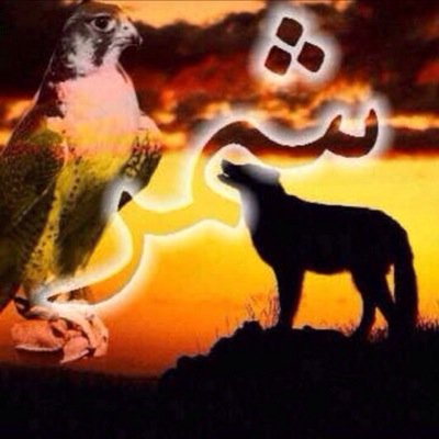 سويّح النافع المسعود المنيع الأسلمي من قبيلة شمر
