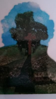 tcjiclass4's profile picture. 