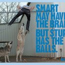 Viola Herbert - @HerbertViola9 - Twitter