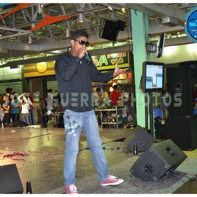 cantante profesional