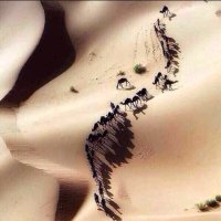 تركي (@mdf3211) Twitter profile photo