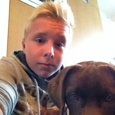 pieter_vincken's profile picture. #percussionthebest