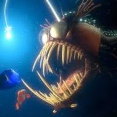 bitnyte's profile picture. old and ugly