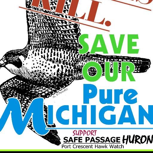 mkessenmacher's profile picture. Founder & head of @PCHawkWatch. Advocating for the protection of avaian migrants in Huron County. #SafePassageHuron