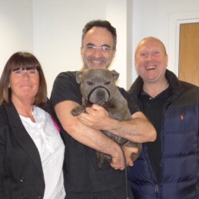 Yay! Im 7 years old, Thanks to the life saving treatment You may have seen me have on @channel4 series 1 Ep 3 of the Supervet. Grateful for my life!