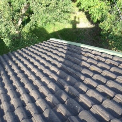 daltonsson's profile picture. 