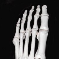 Mr A.L.Murphy (@surgeryfoot) 's Twitter Profile Photo