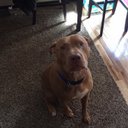 Stacey Ashe - @dashe824_ashe - Twitter