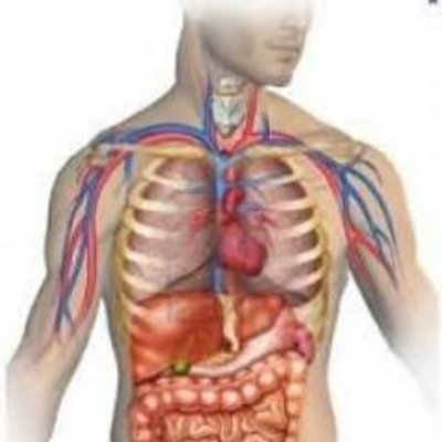 Mastering Anatomy And Physiology - Help To Make It Easy
