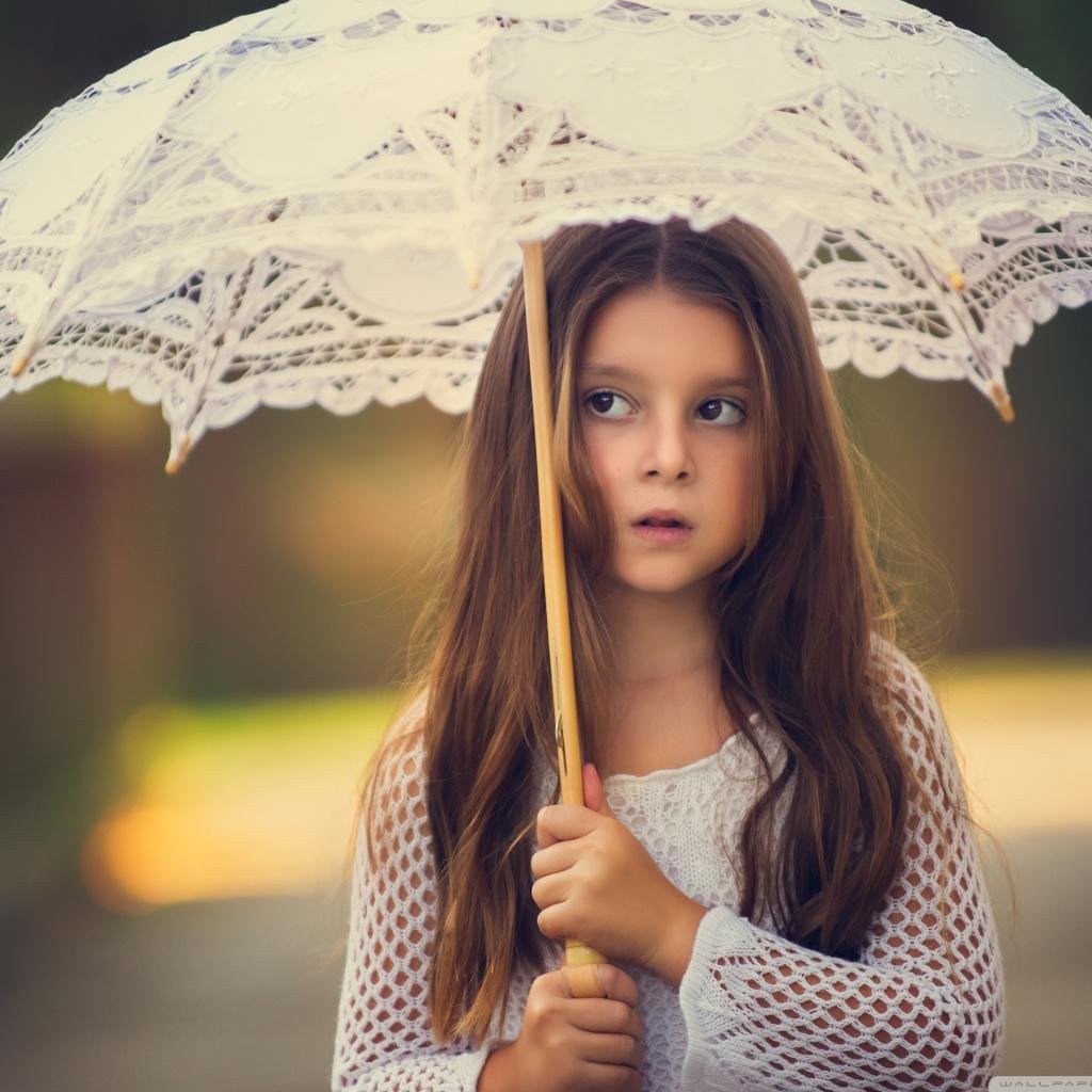 niazi792's profile picture. 