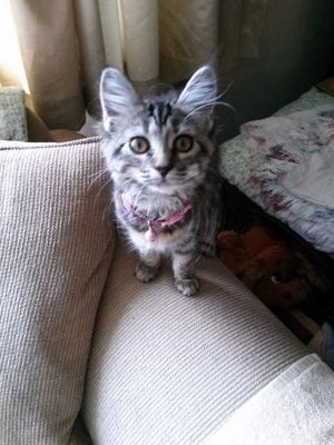 mfiannucci's profile picture. 