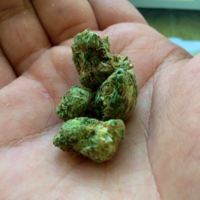 Run by Millabong & Tripp. For those who smoke nugs all day, every day. Snapchat and Instagram: @TheGreenThumbCo #Th3RichGang #StonerNation #DrugFamily
