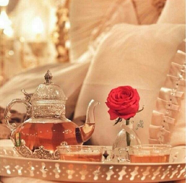 dhfjd6's profile picture. 