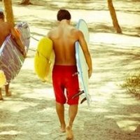 Tombo (@tombo3842) 's Twitter Profile