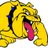 SJBoscoBulldogs's profile image