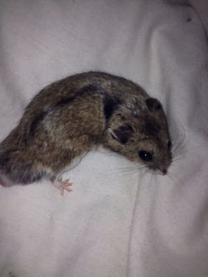 sarahlouisehel1's profile picture. 