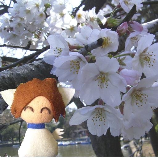 ファラさんのプロフィール画像
