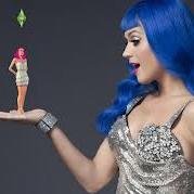 i love katy perry and i love the sims, great mix