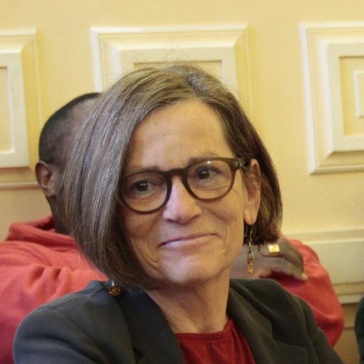 Adjointe au Maire de #Paris13 , en charge de la propreté, du tri et de l'économie circulaire ; Le monde est ma passion, le 13e ma maison 🇺🇦