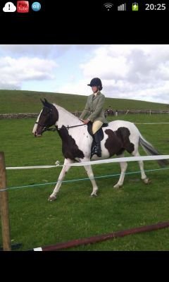 2014Hughson's profile picture. family, friends joey and sal are my mains :D