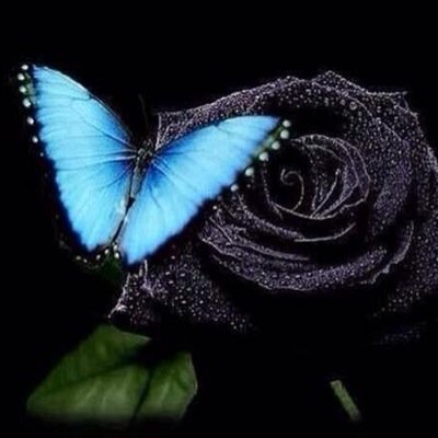 mistic2bou's profile picture. @JeSuis1Teller de la @Saga_LAPORTE