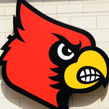 The Official Twitter of the University of Louisville Bird Cage. Home of the greatest student section in the nation #BirdCage