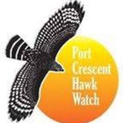 PCHawkwatch's profile picture. IBA ranking: GLOBAL IMPORTANCE.  We advocate SAFE PASSAGE-HURON as 100's of wind turbines stand in the path of 100,000+ avian  migrants annually.