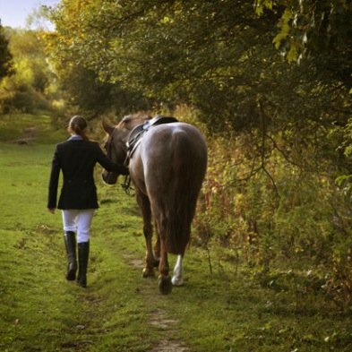 Who Needs a Boyfriend/Girlfriend , When you Have Horses !