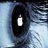 bramleycomputer's profile image