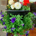 Gary Paterson - @Garypaterson2Gp - Twitter