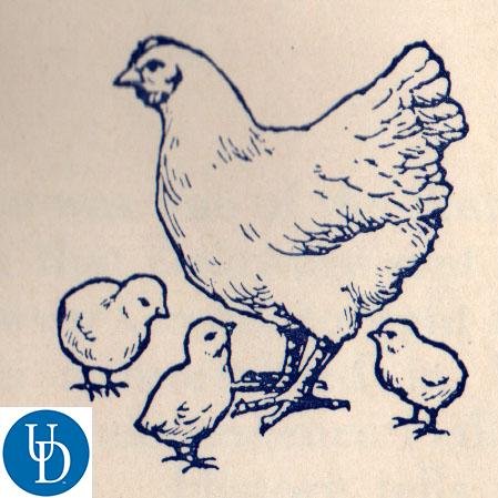 Rare books, manuscripts, photographs, graphic materials, and more at the #UDelaware Library.