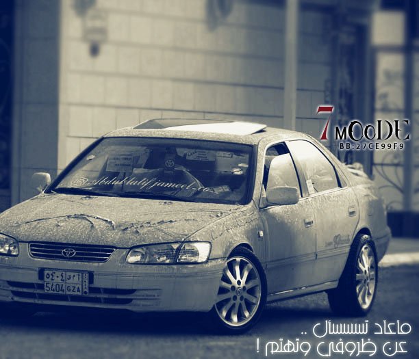 yaya_yaya222's profile picture. 