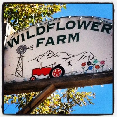coloradoalpines's profile picture. Colorado Alpines & Wildflower Farm is a locally-owned, full-service landscaping business & garden center with unique gifts and lots of outdoor inspiration!