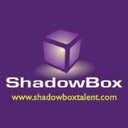 At ShadowBox Talent, we provide payroll outsourcing and employee benefits, to staffing and senior level recruiting. Our focus is to empower your business!