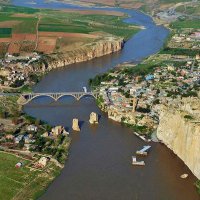 Cevat (@mcdogmus) Twitter profile photo