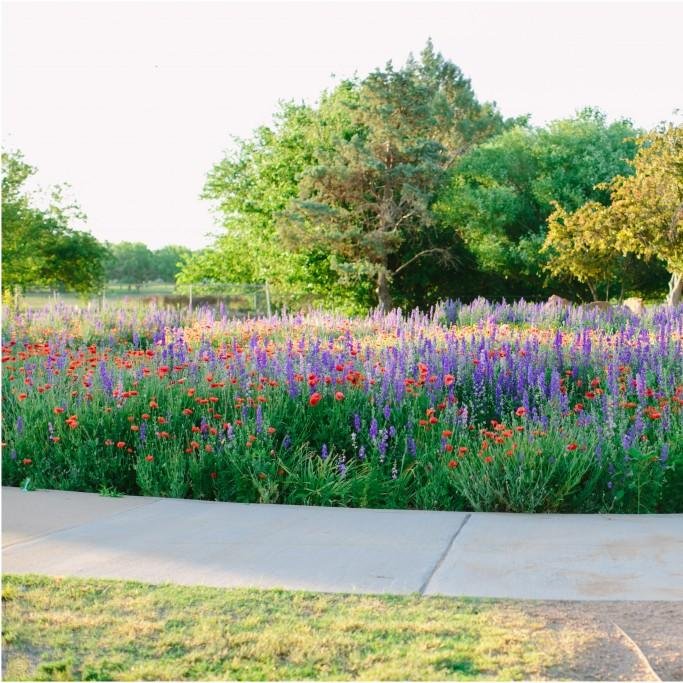 Located in the heart of Lubbock, The Lubbock Memorial Arboretum is a unique 93 acre open space and historical site located in K.N. Clapp Park.