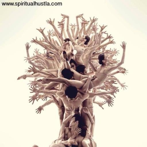 101mlmsystems's profile picture. Join the Movement