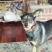 Susan M. Creighton (@screighton22) 's Twitter Profile