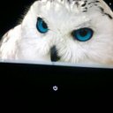 margo jansen - @1956breda - Twitter