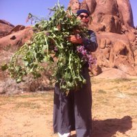 صالح محمد الغسلان (@gsaaleh) Twitter profile photo